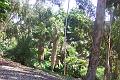 Balboa Park  3